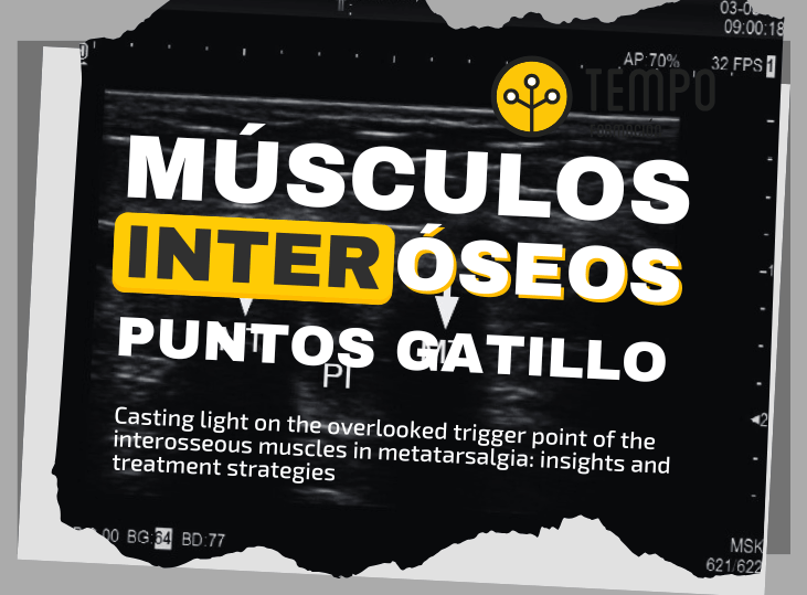 puntos-gatillo-musculos-interoseos-ecografia